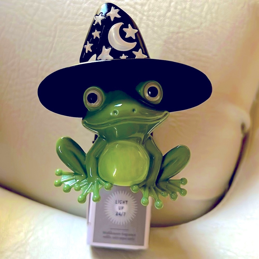 Witchy Frog  Nightlight!